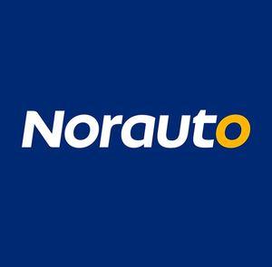 Logo Norauto International