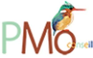 Logo PMo conseil