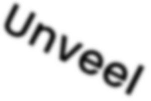 Logo Unveel