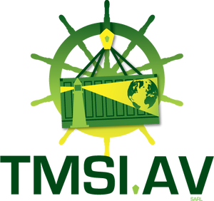 Logo TMSI-AV