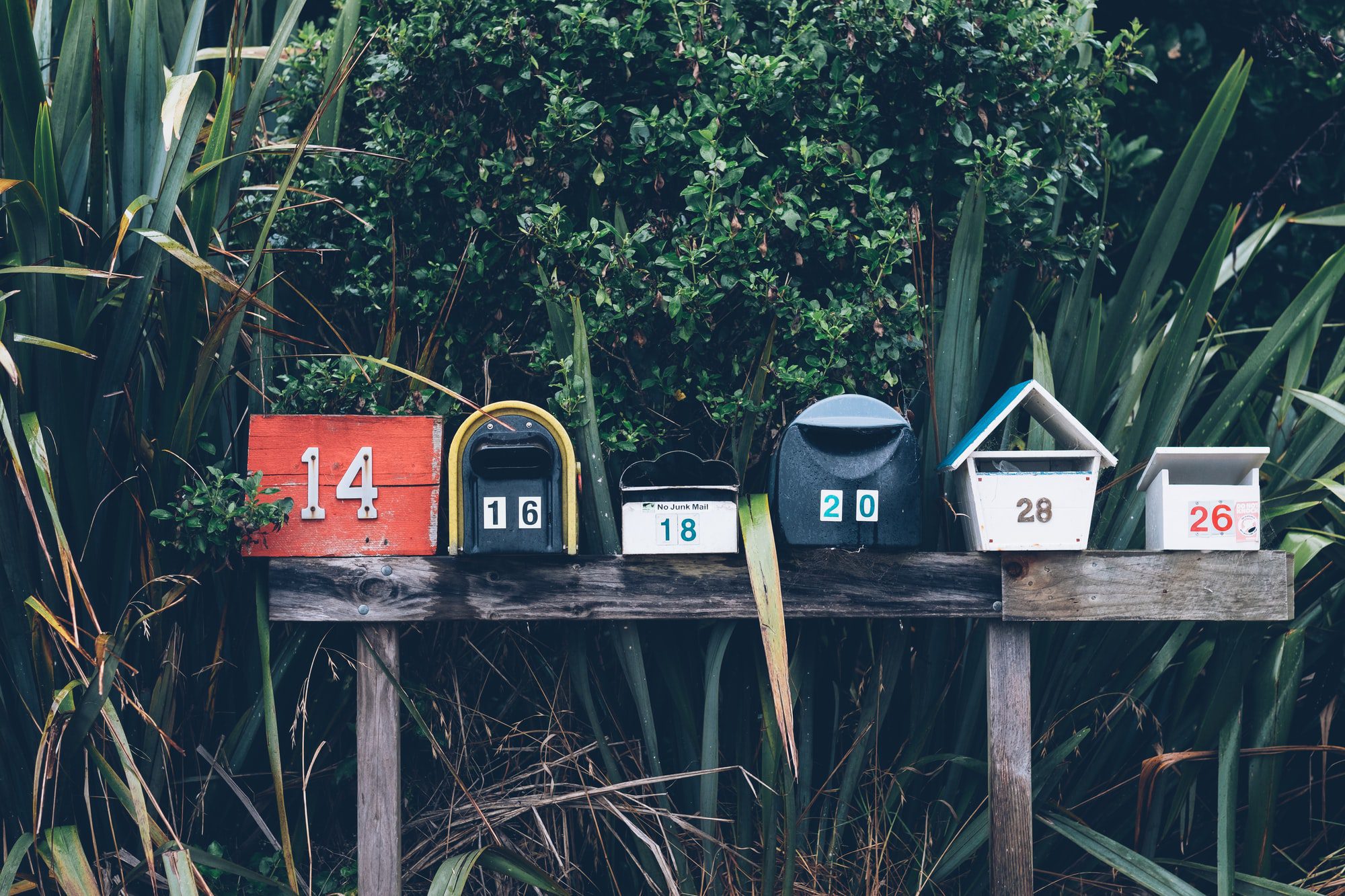 Comment utiliser des variables Postman dans vos collections