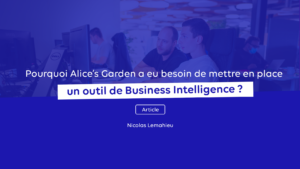 Article Nicolas_Business Intelligence